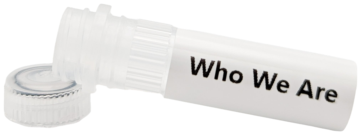 Who We Are