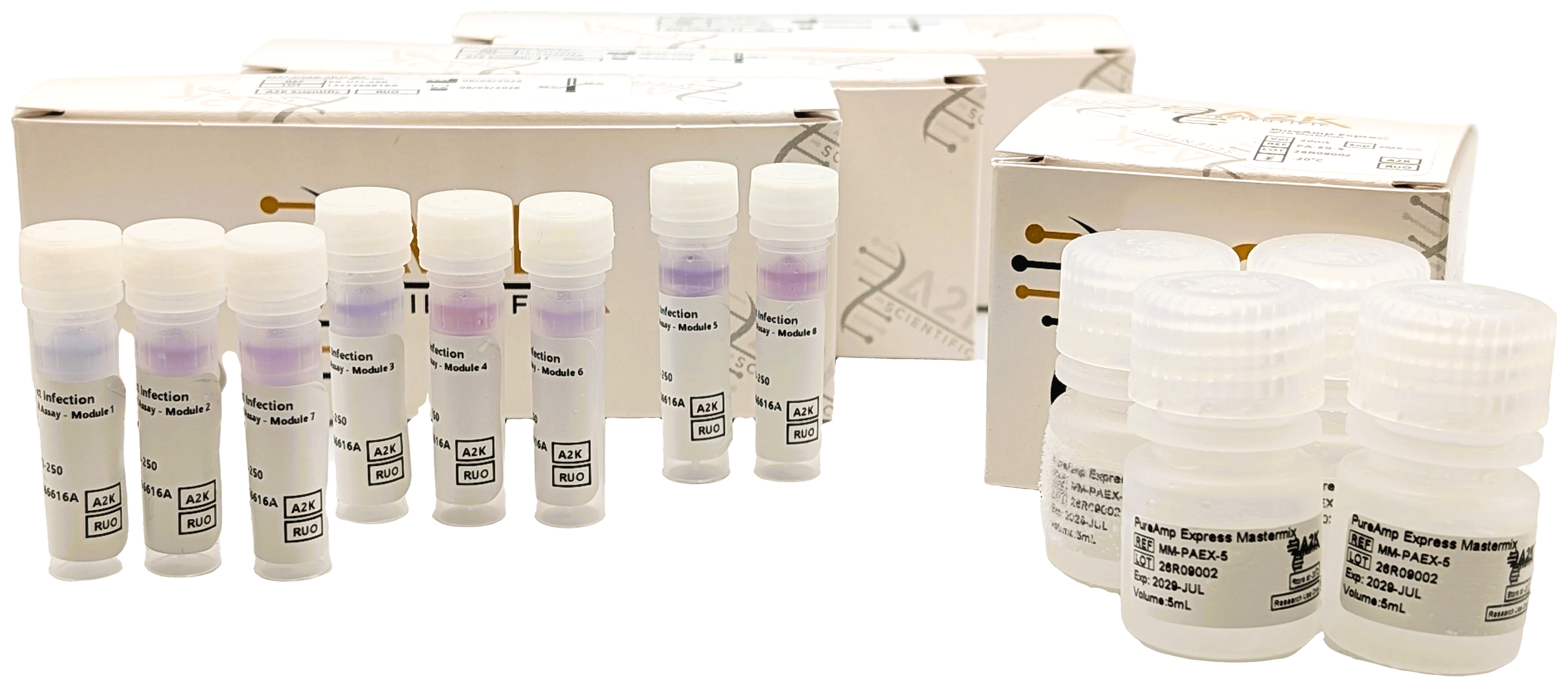 Wound Complete Pathogen Panel (RUO)